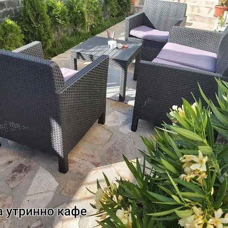 Sharkova House Гостевой дом 2*