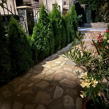 בית הארחה Sharkova House בנסקו