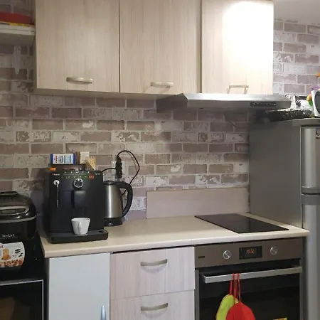 Sharkova House 招待所 班斯科